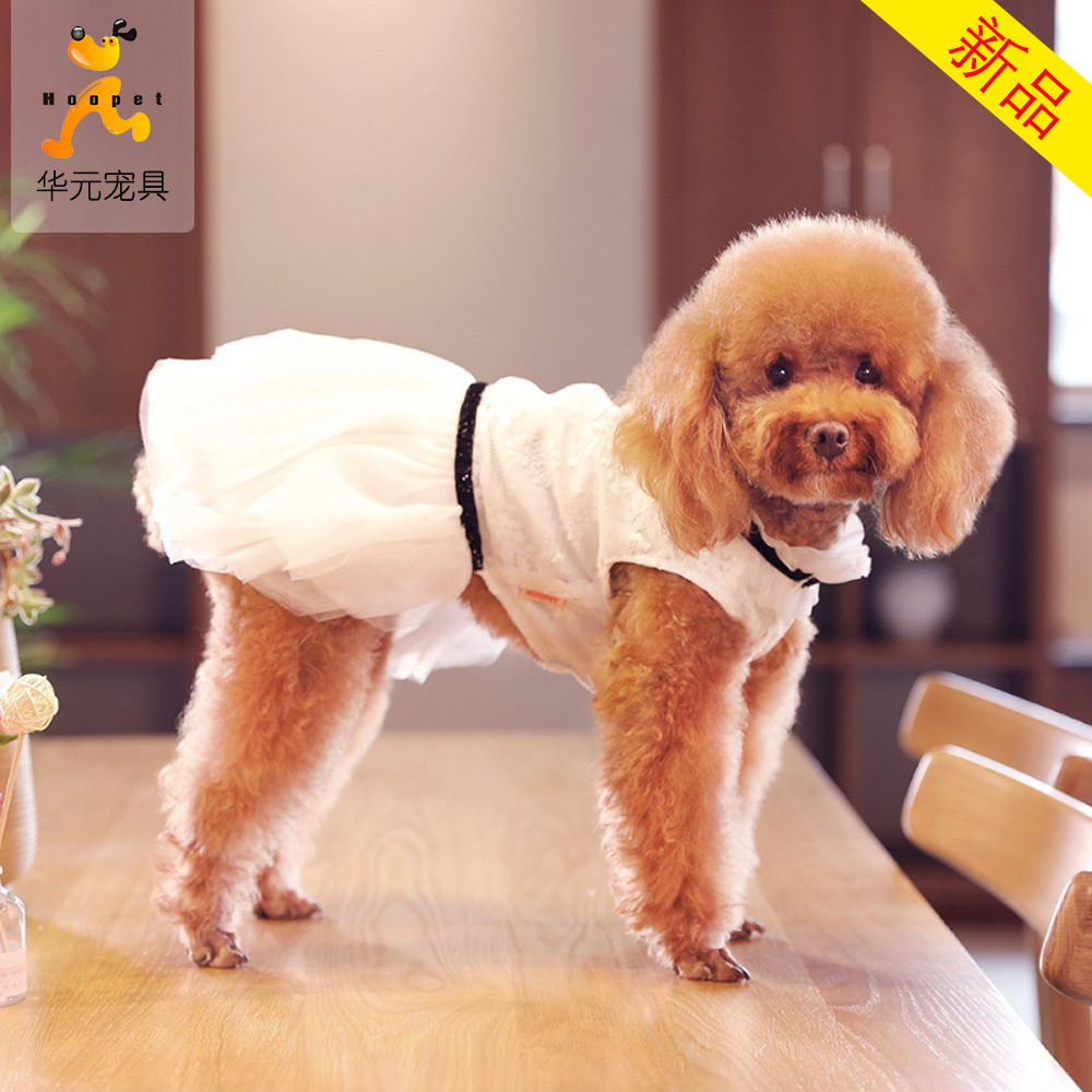 小狗狗衣服泰迪比熊博美夏裝薄款小型犬幼犬寵物夏天蕾絲公主裙子